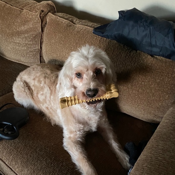 Meet your Posher, Joe - Picture 1 of 1